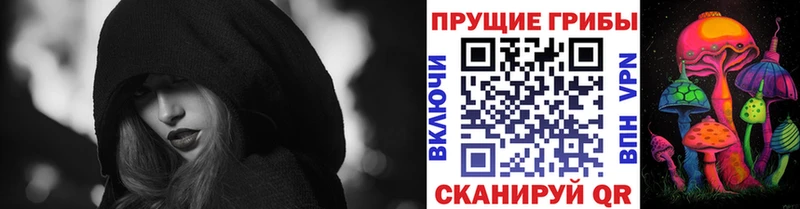 магазин продажи наркотиков Семикаракорск Галлюциногенные грибы Cubensis